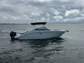 Thumbnail von Sea Ray SLX 260 Outboard