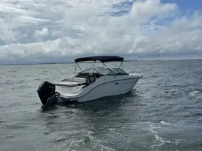 Thumbnail von Sea Ray SLX 260 Outboard