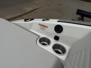 Thumbnail von Sea Ray SDX 250 Surf