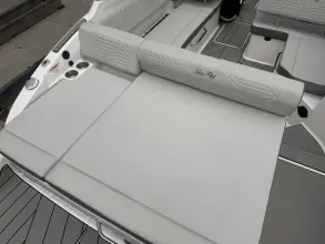 Thumbnail von Sea Ray SDX 250 Surf