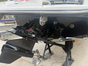 Thumbnail von Sea Ray SDX 250 Surf