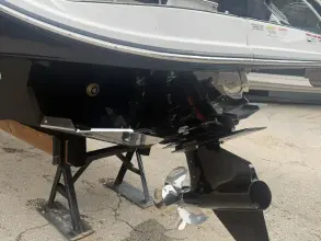 Thumbnail von Sea Ray SDX 250 Surf