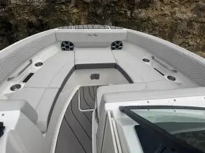 Thumbnail von Sea Ray SDX 250 Surf