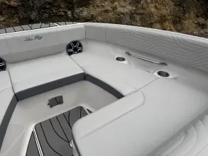 Thumbnail von Sea Ray SDX 250 Surf