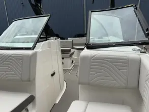 Thumbnail von Sea Ray SDX 250 Surf