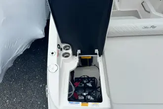 Thumbnail von Sea Ray SDX 250 Outboard