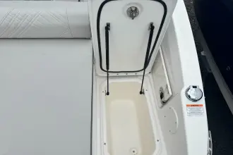 Thumbnail von Sea Ray SDX 250 Outboard