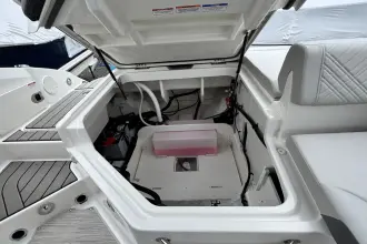 Thumbnail von Sea Ray SDX 250 Outboard