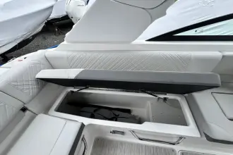 Thumbnail von Sea Ray SDX 250 Outboard