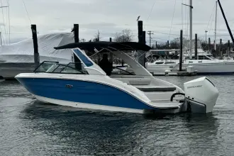 Thumbnail von Sea Ray SDX 250 Outboard