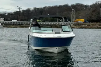 Thumbnail von Sea Ray SDX 250 Outboard