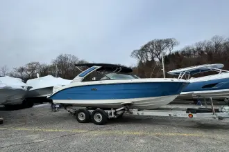 Thumbnail von Sea Ray SDX 250 Outboard