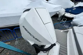 Thumbnail von Sea Ray SDX 250 Outboard