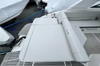 Thumbnail von Sea Ray SDX 250 Outboard