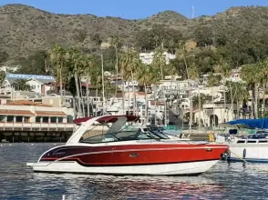 Thumbnail von Formula 310 Bowrider