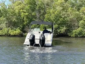 Thumbnail von Sea Ray SDX 290 Outboard