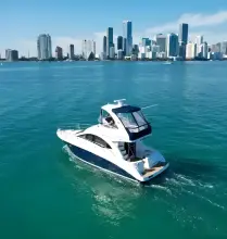 Thumbnail von Sea Ray 360 Sedan Bridge