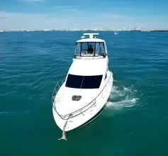 Thumbnail von Sea Ray 360 Sedan Bridge