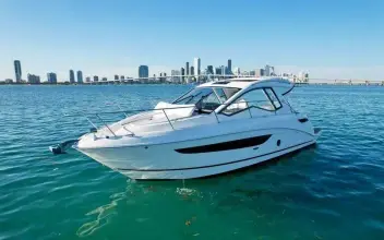 Thumbnail von Sea Ray 350 Sundancer