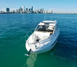 Thumbnail von Sea Ray 350 Sundancer