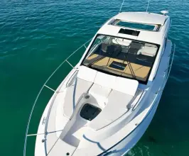 Thumbnail von Sea Ray 350 Sundancer
