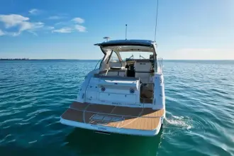 Thumbnail von Sea Ray 350 Sundancer
