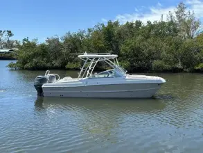 World Cat 230 SD