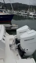 Thumbnail von Tiara Yachts 34 LS