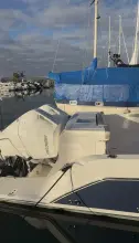 Thumbnail von Tiara Yachts 34 LS