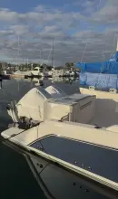 Thumbnail von Tiara Yachts 34 LS