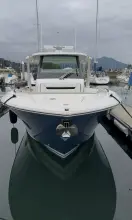 Thumbnail von Tiara Yachts 34 LS