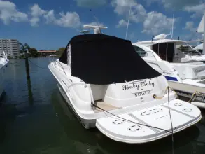 Thumbnail von Sea Ray 410 Express Cruiser