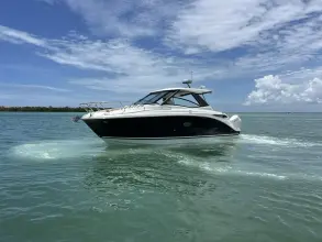 Thumbnail von Sea Ray 320 Sundancer Outboard