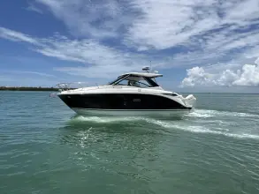 Thumbnail von Sea Ray 320 Sundancer Outboard