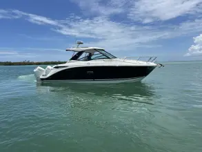 Thumbnail von Sea Ray 320 Sundancer Outboard