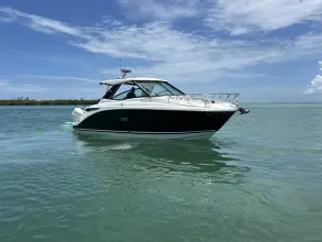 Thumbnail von Sea Ray 320 Sundancer Outboard