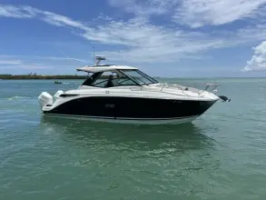 Thumbnail von Sea Ray 320 Sundancer Outboard