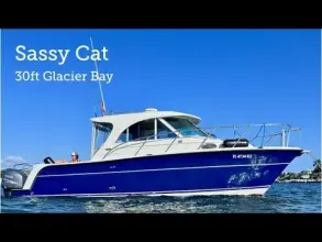 Glacier Bay 3080 Sassy Cat