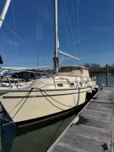 Thumbnail von Island Packet SP Cruiser Second Wind