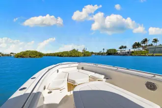 Thumbnail von Boston Whaler 350 Outrage