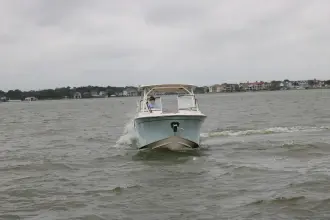 Thumbnail von Grady White Freedom 275