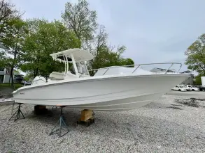 Boston Whaler 250 Dauntless