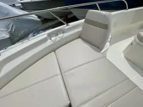 Thumbnail von Boston Whaler 250 Dauntless