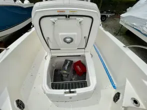 Thumbnail von Boston Whaler 250 Dauntless