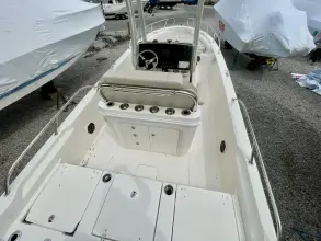 Thumbnail von Boston Whaler 250 Dauntless