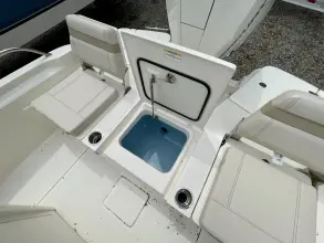 Thumbnail von Boston Whaler 250 Dauntless