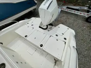 Thumbnail von Boston Whaler 250 Dauntless
