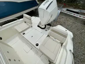 Thumbnail von Boston Whaler 250 Dauntless