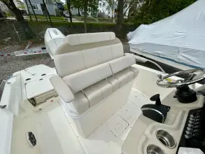 Thumbnail von Boston Whaler 250 Dauntless