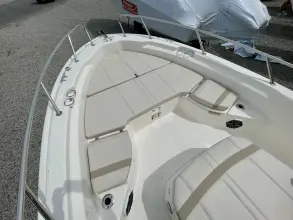 Thumbnail von Boston Whaler 250 Dauntless